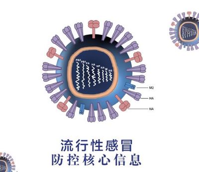 注意!合肥进入流感高发季!