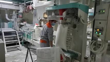 春耕吹响集结号!广东农业生产加快复工&ldquo;战疫&rdquo;