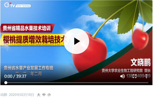 樱桃提质增效栽培技术培训在贵州启动 助力精品水果产业发展与病虫害科学防控